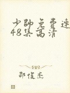 少帅免费连续剧48集高清