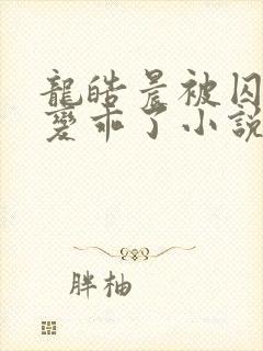 龙皓晨被囚禁后变乖了小说封面