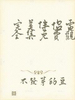 完美伴侣电视剧全集免费观看下载