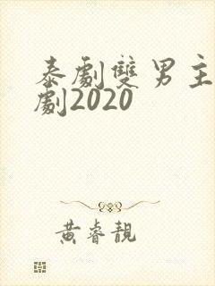 泰剧双男主电视剧2020