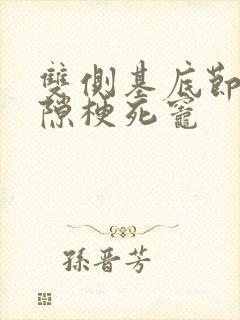 双侧基底节区腔隙梗死灶