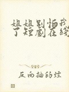 姐姐别怕我无敌了短剧在线观看