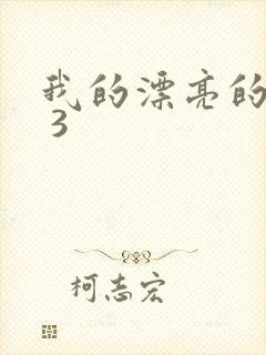 我的漂亮的嫂子 3