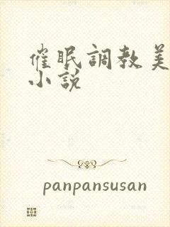 催眠调教美女的小说