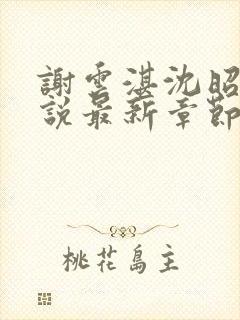 谢云湛沈昭月小说最新章节