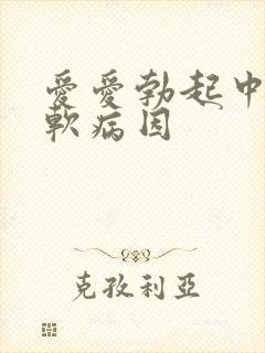 爱爱勃起中途变软病因