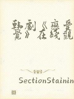 韩剧《恋爱的感觉》在线观看