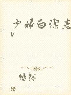 少妇白洁老师av