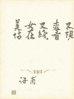 美女又爽又爽网站在线看视频