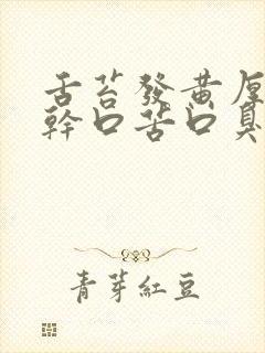 舌苔发黄厚腻口干口苦口臭的药封面