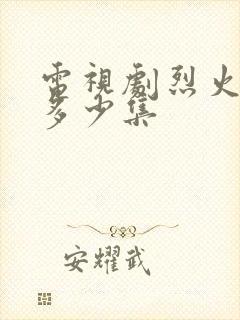 电视剧烈火一共多少集封面