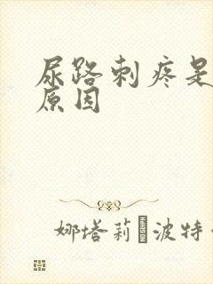 尿路刺疼是什么原因封面