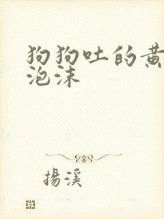 狗狗吐的黄水带泡沫
