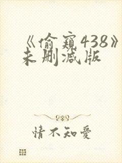 《偷窥438》未删减版