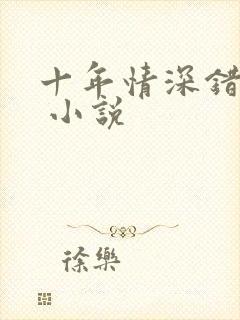 十年情深错过你 小说