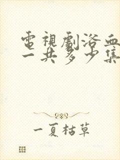 电视剧浴血荣光一共多少集