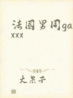 法国男同gayxxx封面