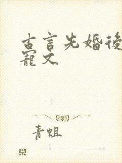 古言先婚后爱甜宠文