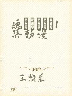 魂インサート1集动漫封面