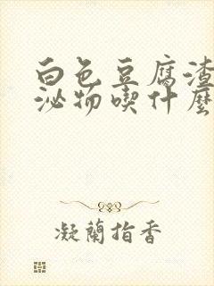 白色豆腐渣状分泌物吃什么药