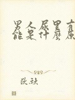 男人尿里有血可能是什么原因