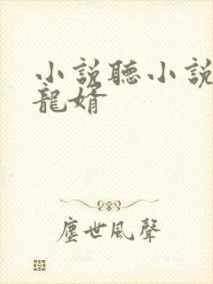 小说听小说上门龙婿