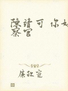 陈靖可 你好检察官封面