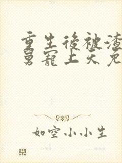 重生后被渣男舅舅宠上天免费在线观看