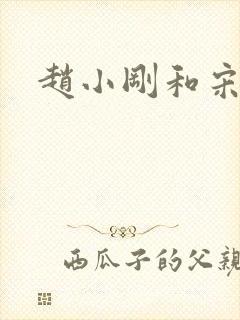 赵小刚和宋雨晴