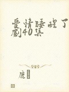 爱情睡醒了电视剧40集