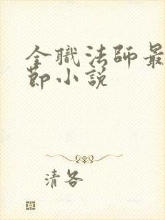 全职法师最新章节小说