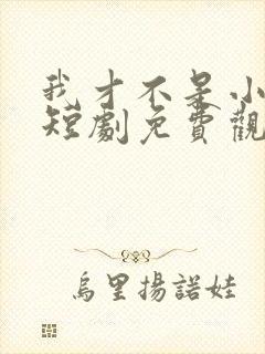 我才不是小可怜短剧免费观看全集