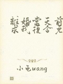 离婚当天前夫跪求我复合免费阅读