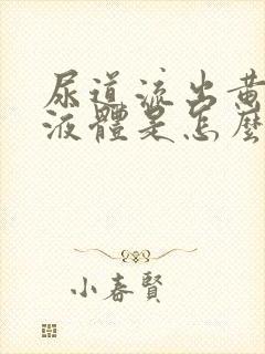 尿道流出黄色的液体是怎么回事