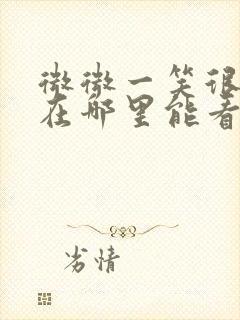 微微一笑很倾城在哪里能看封面