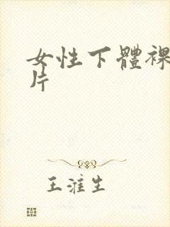 女性下体裸体照片封面