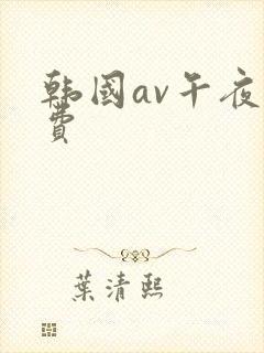 韩国av午夜免费