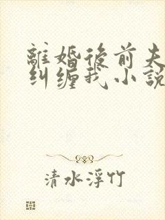 离婚后前夫总想纠缠我小说封面