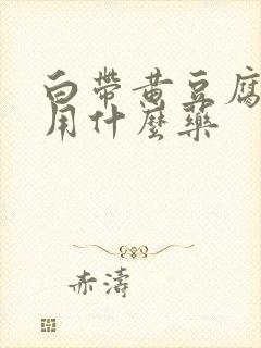 白带黄豆腐渣状用什么药