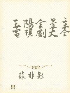 王阳金晨主演的电视剧大全