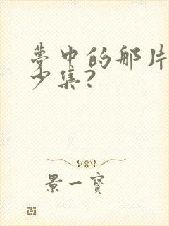 梦中的那片海多少集?