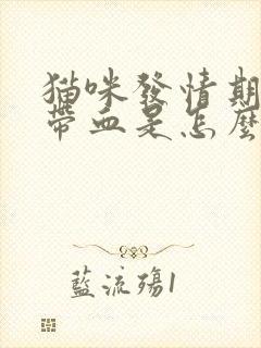 猫咪发情期尿里带血是怎么回事封面