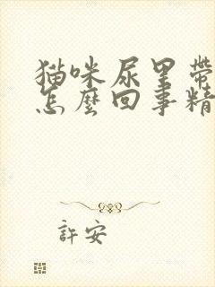 猫咪尿里带血是怎么回事精神很好