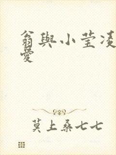 翁与小莹凌晨欢爱封面