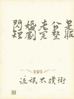 闪婚老公是总裁短剧完整版免费看