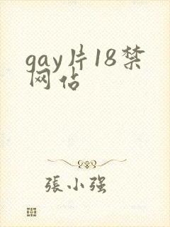 gay片18禁网站
