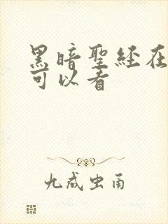 黑暗圣经在哪里可以看