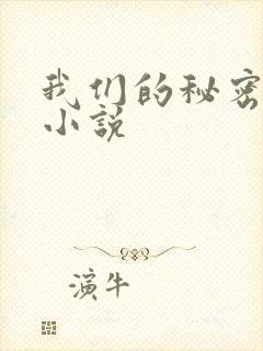 我们的秘密泰剧小说