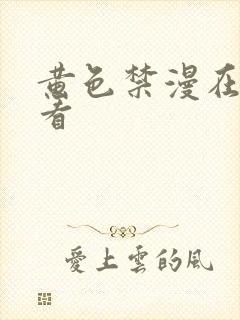 黄色禁漫在线观看