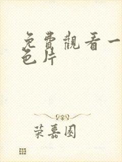 免费观看一级黄色片